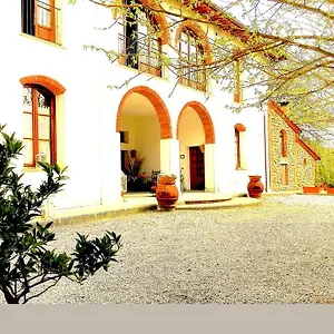 Bacco A Petroio Vinci
