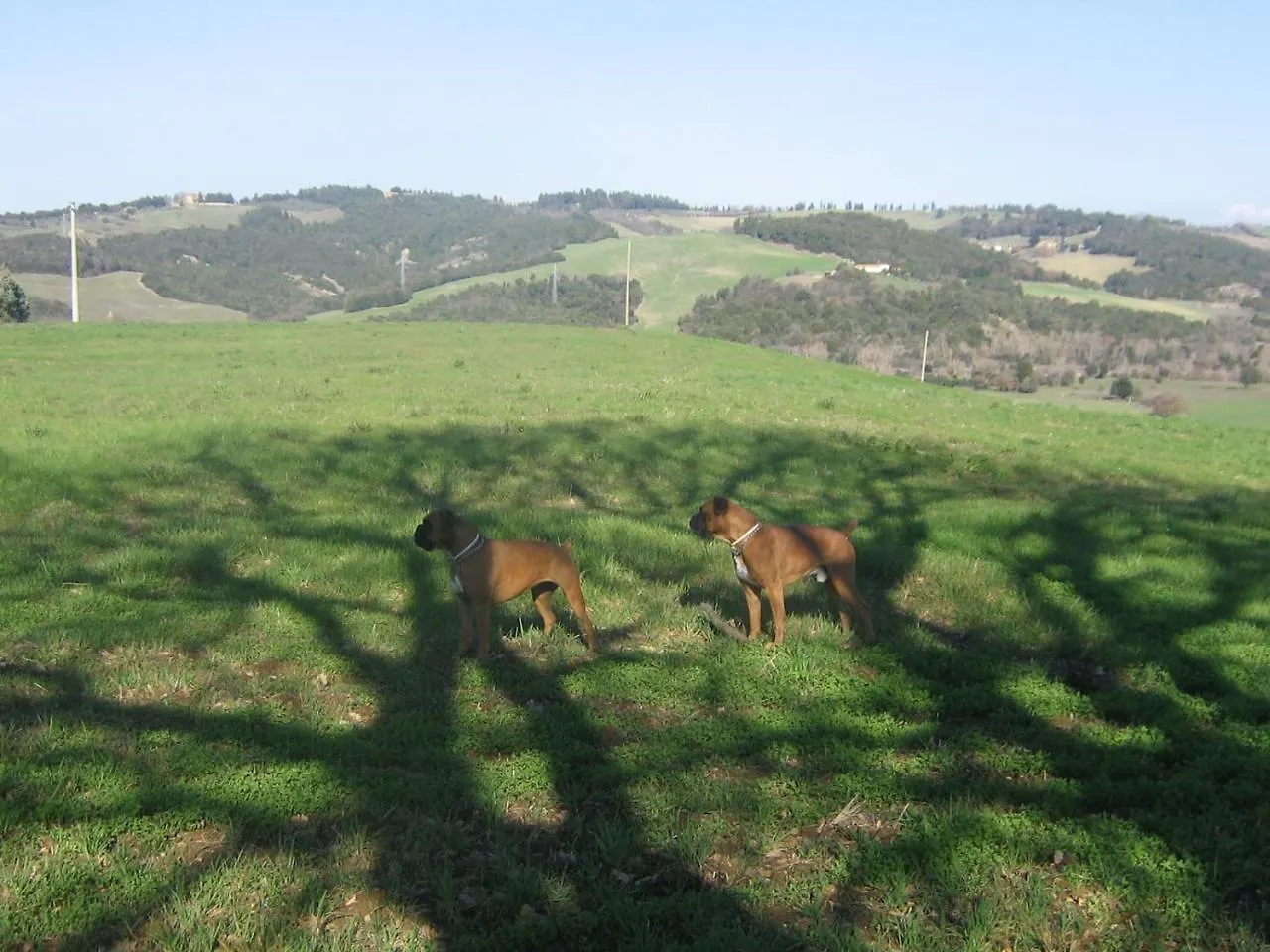 Appartamento Girasole - Agriturismo Le Selvole Pomarance Farm stay