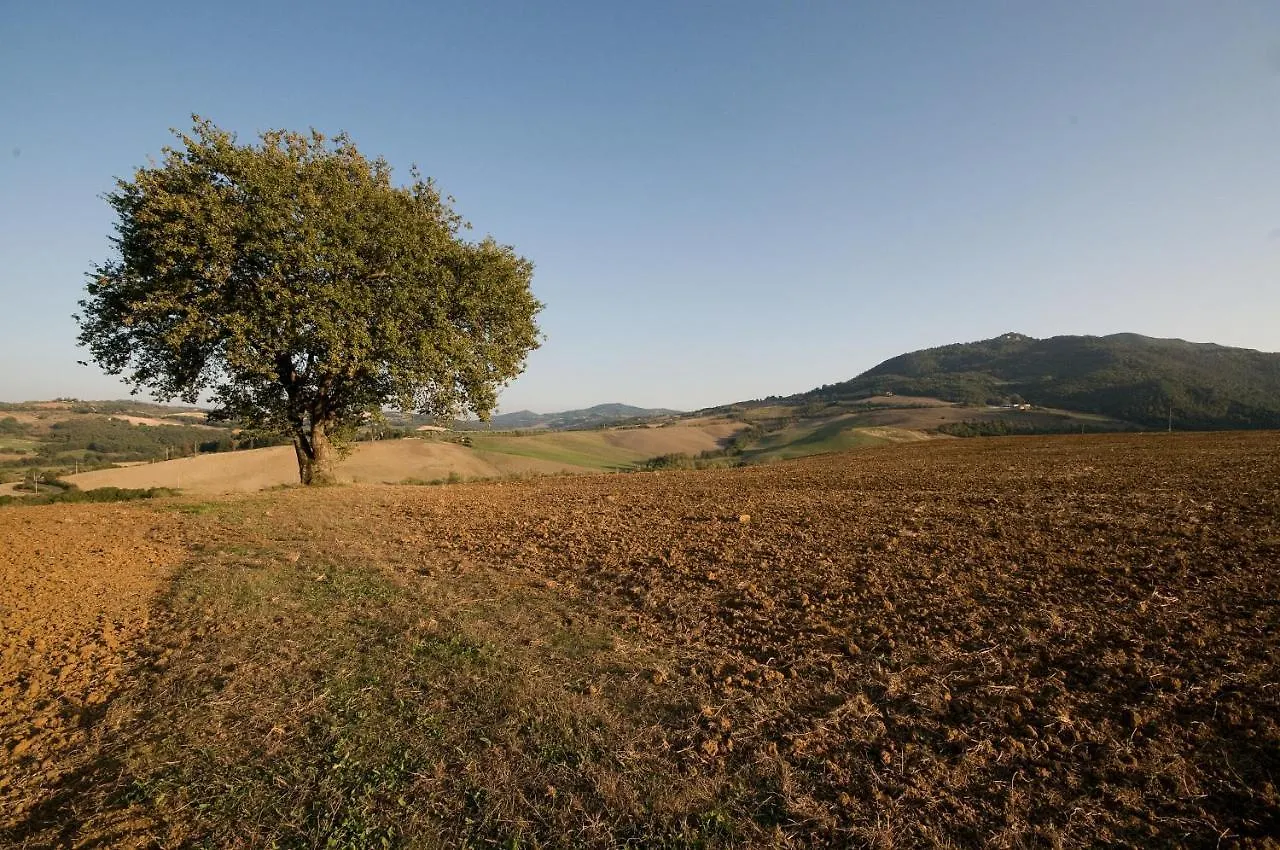 Appartamento Girasole - Agriturismo Le Selvole Pomarance 0*,  Italy