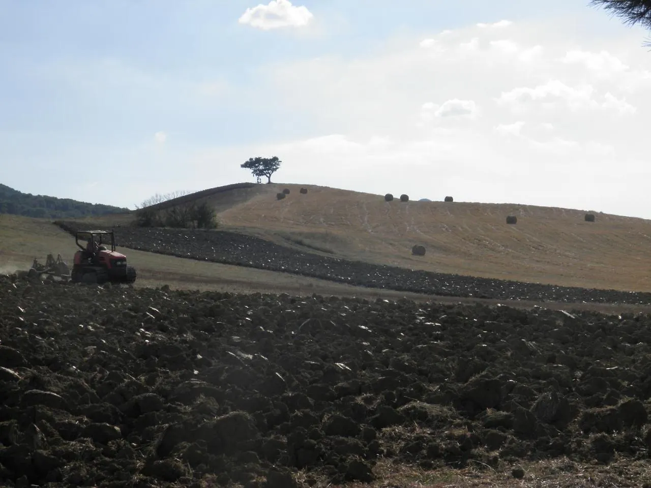 Farm stay Appartamento Girasole - Agriturismo Le Selvole Pomarance
