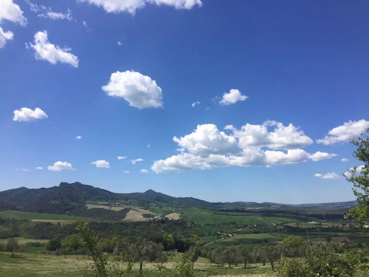 Appartamento Girasole - Agriturismo Le Selvole Pomarance